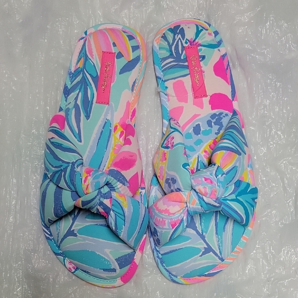 Lilly Pulitzer Teri slippers my little peony pink and blue slippers small medium - Picture 1 of 8
